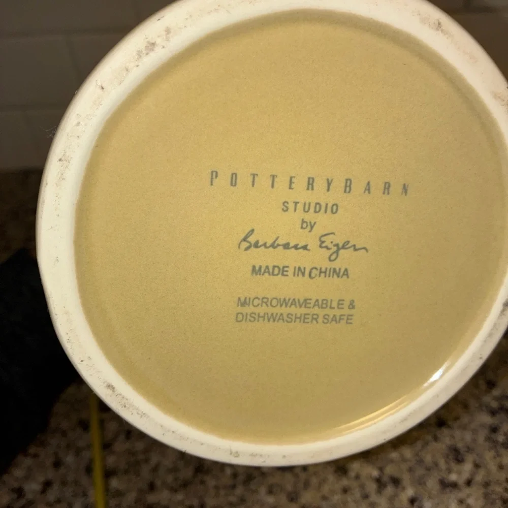 PotteryBarn Studio Ceramic‎ Pitcher Barbara Eiger Tan